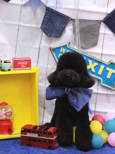 20230404リルくん